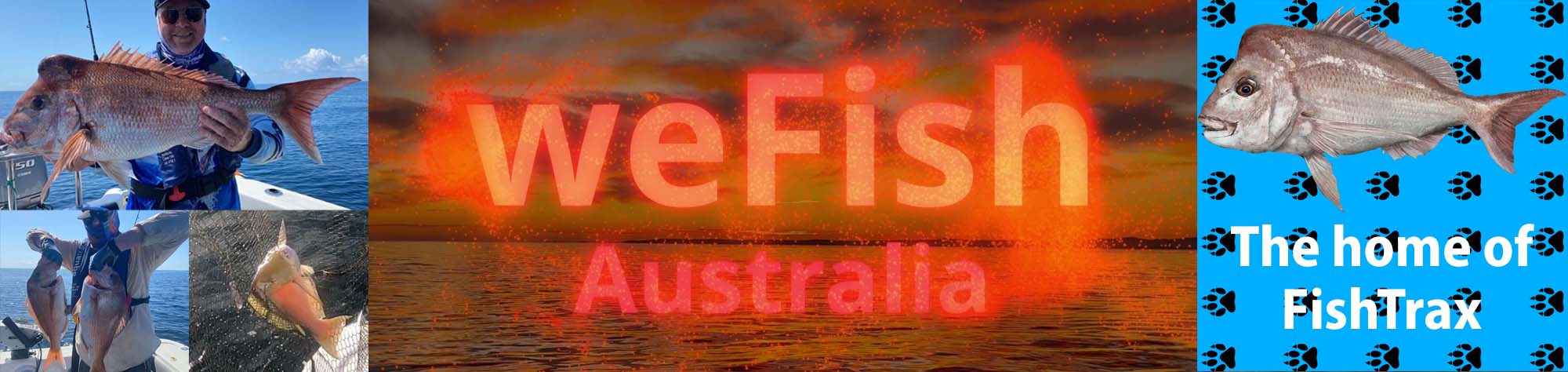 FishTrax Banner